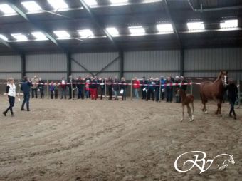 Fokvereniging VHV stadskanaal komt langs op veulenbezoek.