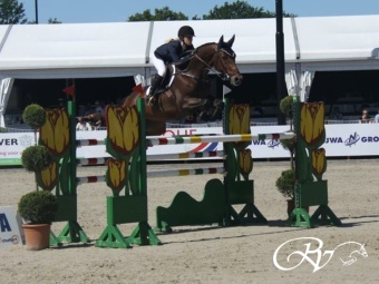 Internationaal springpaard Champion de Quidam RV (Quidam de revel x Emilion) is verkocht naar een amazone in Denemarken.