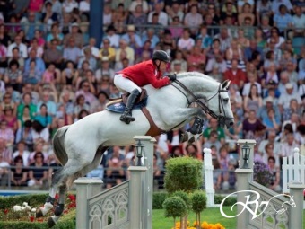  FOR SALE: EMBRYO FROM TOP SIRE CICERO Z OUT OF THE INTERNATIONAL SHOWJUMPER PRODUCER: Nienke RV.   (VERKOCHT NAAR CANADA)