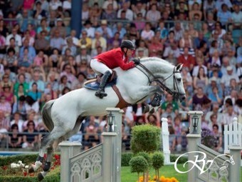  FOR SALE: EMBRYO FROM TOP SIRE CICERO Z OUT OF THE INTERNATIONAL SHOWJUMPER PRODUCER: Nienke RV.   (SOLD TO CANADA)