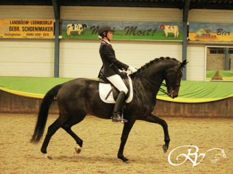 Charming Lady RV en Katja Renken presteren goed in hun Z2 debuut.