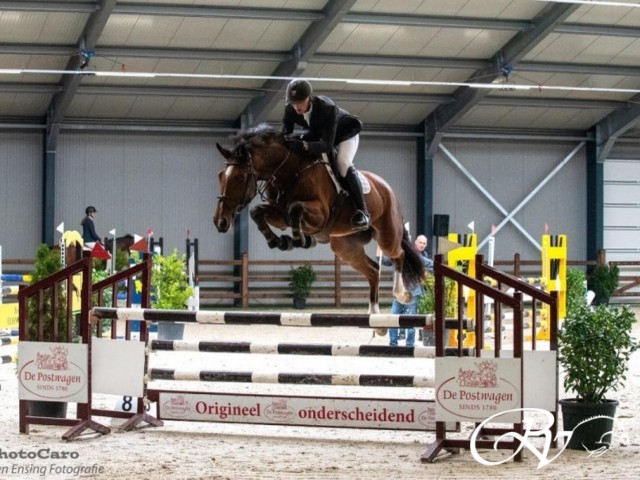 Just Action RV shows his jumpings skills with rider Julian de Boer.