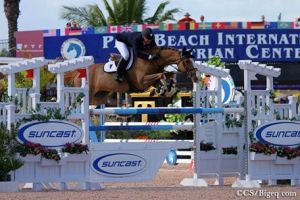 Grand grandmother Kalista is grandmother international 1.50m jumping horse Zhum CW (Querlybet hero) with rider Mc Lain Ward.