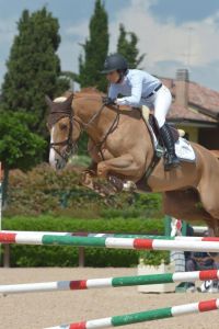 Grand grandmother Kalista is grandmother Bonne Chance CW (Baloubet du Rouet) international CSI*** 1.45m jumping horse with amazon Jannika Sprunger.