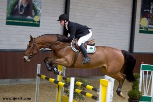 Halfzus Rianne RV bracht het 1.35m springpaard Brianne RV (Verdi x Wolfgang) met ruiter Hanno Ellerman.