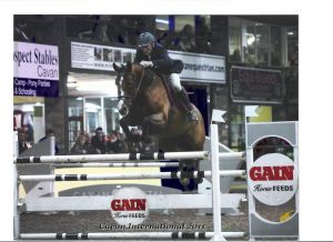 Halfzus Rianne RV bracht het internationale 1.45m springpaard  Wivianne RV (Burggraaf x Wolfgang) met de Ierse ruiter Ger O'Brien.