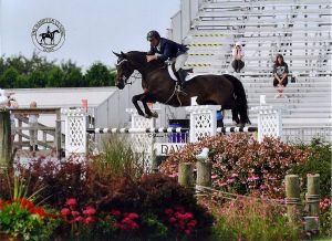 Nakomeling Toscane RV (Cavalier x Emilion) Grand Prix springpaard met ruiter Darragh Kerins. Eigenaar Double H Farms.