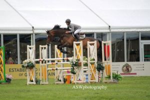 Halfzus Rianne RV bracht het Internationale 1.40m springpaard Zantiago RV (Burggraaf x Wolfgang) met de Engelse ruiter Richard Howley.