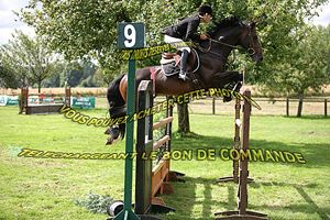 Halfzus Oase RV bracht de AES gekeurde hengst en internationaal 1.40m springpaard Whisper RV (Heartbreaker x Indoctro) met de Franse amazone Marion Amandine.