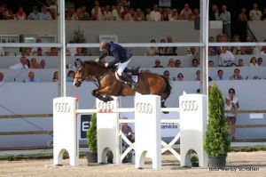 Halfbroer Abra Kadabra (Angel RV) winnaar meerdere Grote Prijzen en tevens Grand Prix paard ruiter Albert Zoer.