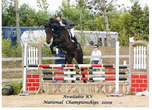 Available RV (Padinus x Jus de Pomme) jumping international 1.35m with James Chawke, owner LFS Sporthorses.