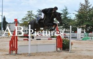 Brainstormer RV (Argentinus x Voltaire) jumping CSI 1.30m classes with amazon Cyrille Curvat.