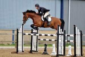 Benetton RV (Lord Z x Voltaire) jumping International 1.35m classes with rider Chris Franks.