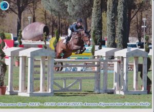 Nakomeling Champion de Quidam RV (Quidam de revel x Emilion) springt internationaal CSI*** 1.45m met amazone Maureen Bonder.