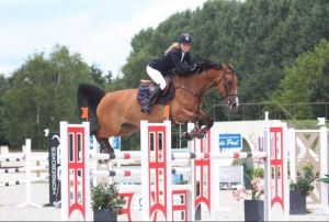 Offspring Pilgrim de la Roque (Quidam de revel) Grand Prix 1.60m horse.