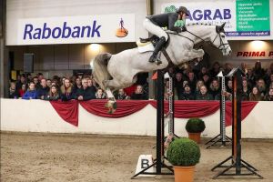 G-Star RV (Der Senaat III) x Pennsylvania) jumping 1.40m classes with rider Julian de Boer.