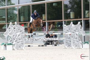 5 years old mare Aurora (Typhoon S) is an offspring of Floortje van Overis Z and is jumping  International youngster tour classes with amazon Laura Mantel.