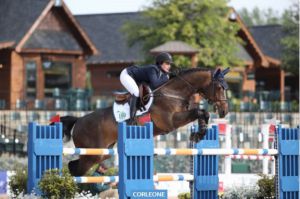 Grand Prix 1.60m springpaard Corleone (v. Vincezo).