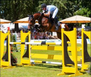 Chaginue (Chacco Blue x Carthago Z) is de volle broer van de moeder Valentina Blue PS. Chaginue springt internationaal 1.45m en is als 6 jarige op de PSI veiling verkocht voor een top bedrag van 220.000 euro.